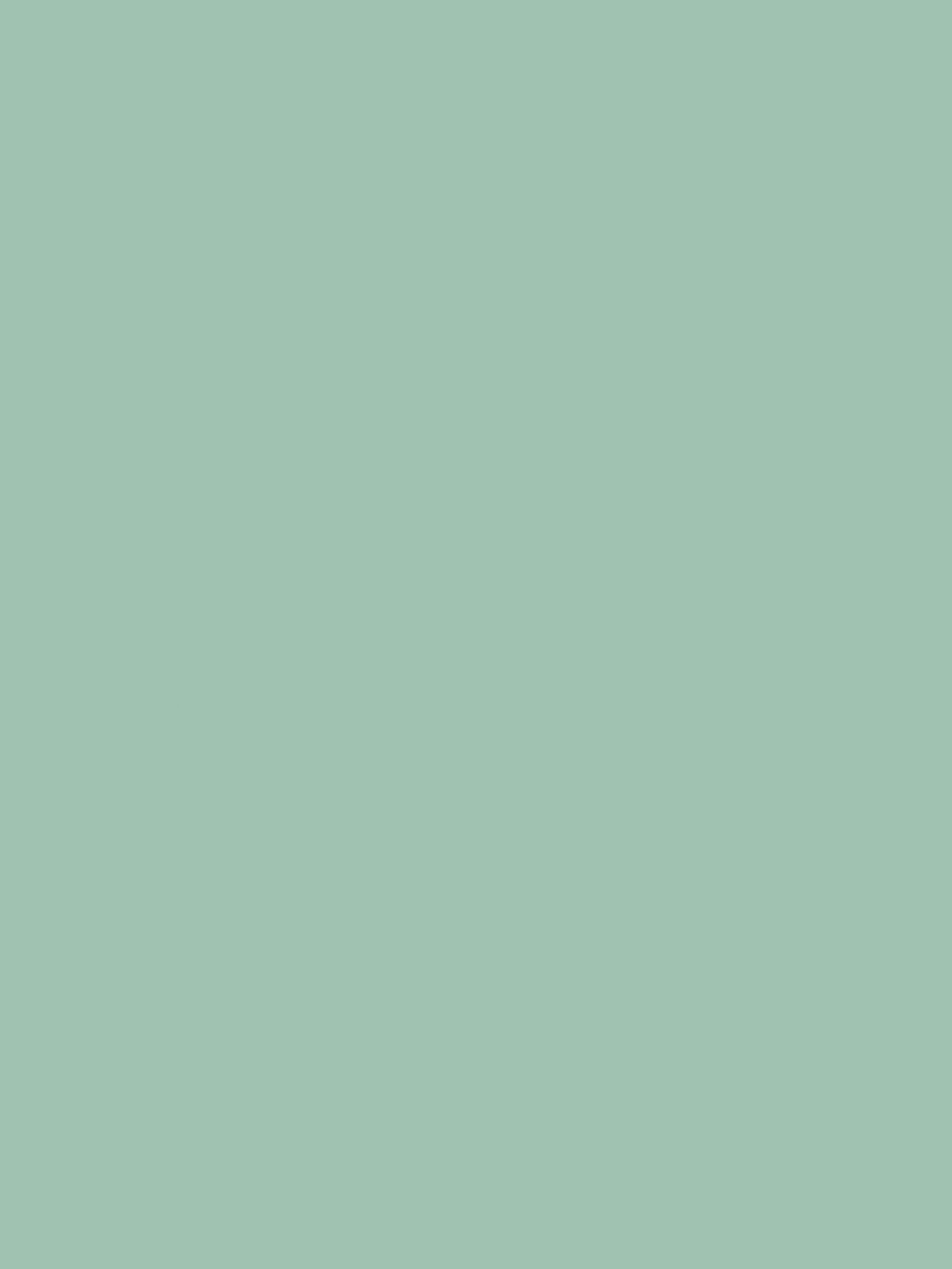 MYSTIC MINT