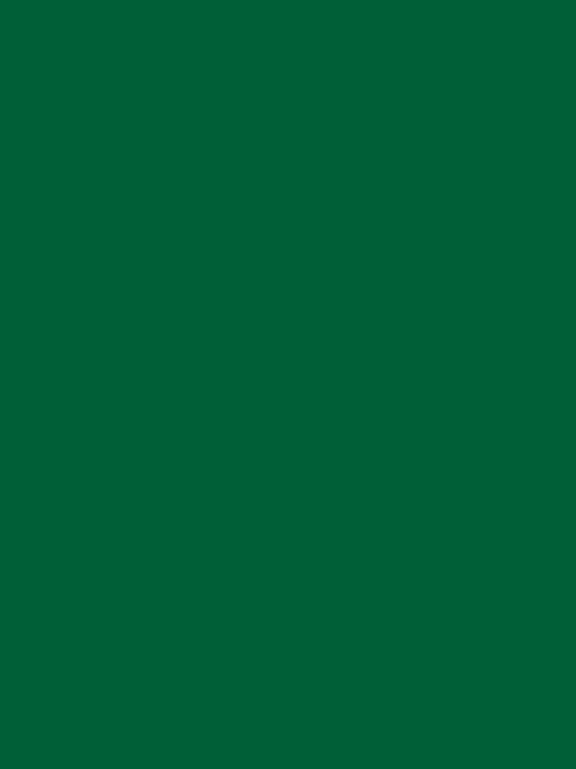 VIVID FOREST